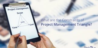 What are the Constraints of Project Management Triangle - Taskque Blog