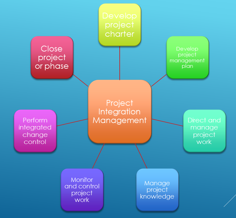 project integration management thesis