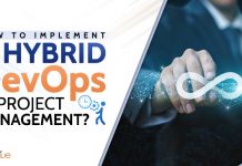 Hybrid DevOps In Project Management?